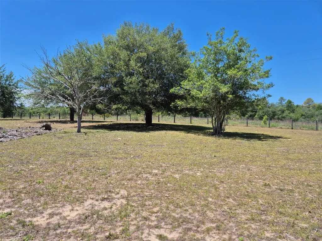 11651 NE 73rd Lane Bronson FL 32621