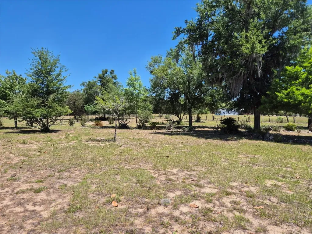 11651 NE 73rd Lane Bronson FL 32621