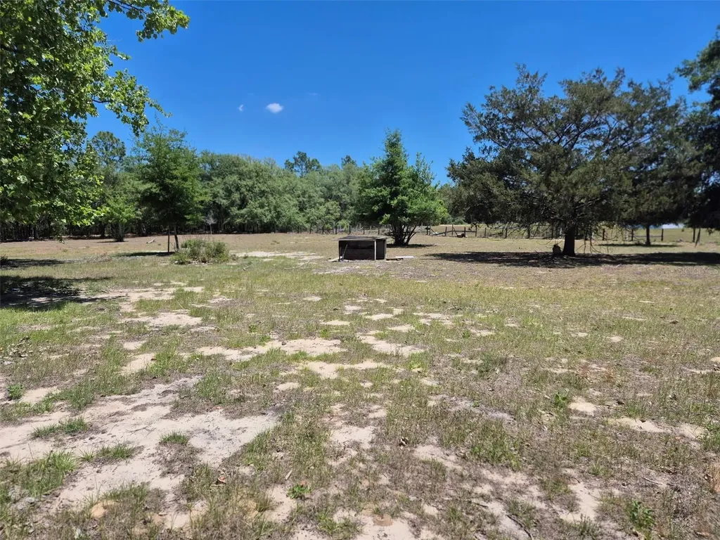 11651 NE 73rd Lane Bronson FL 32621