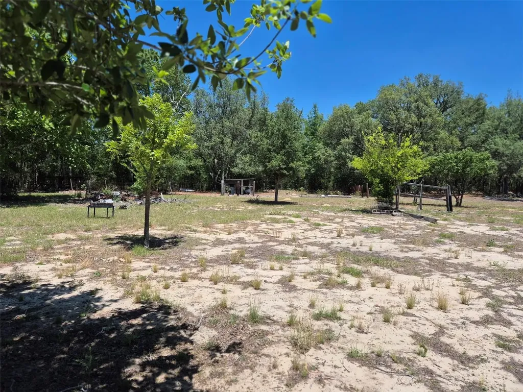 11651 NE 73rd Lane Bronson FL 32621