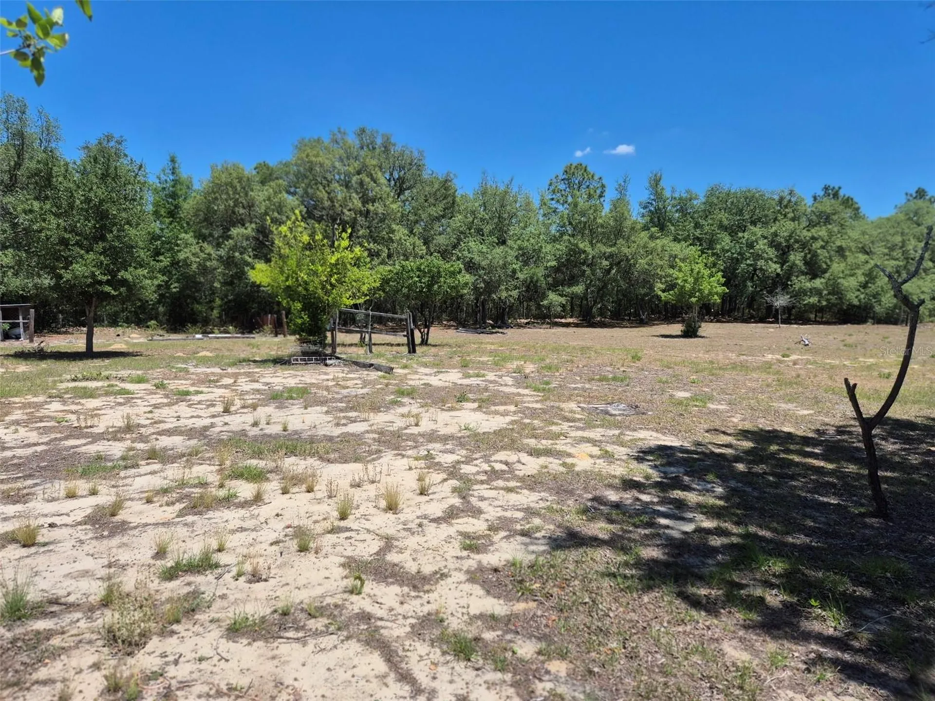 11651 NE 73rd Lane Bronson FL 32621