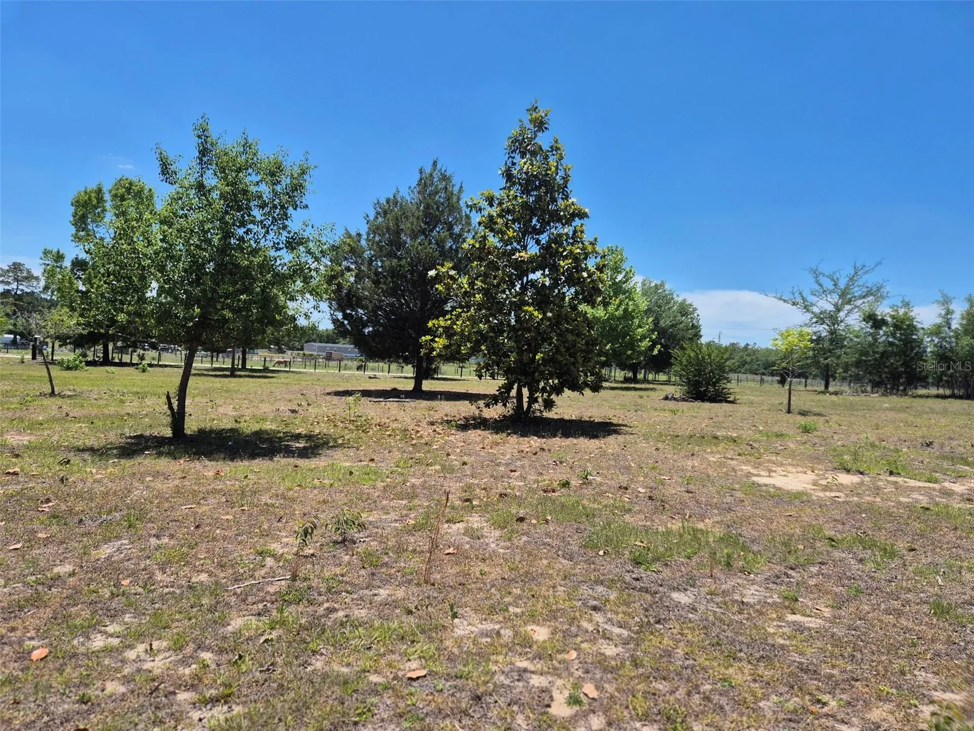 11651 NE 73rd Lane Bronson FL 32621
