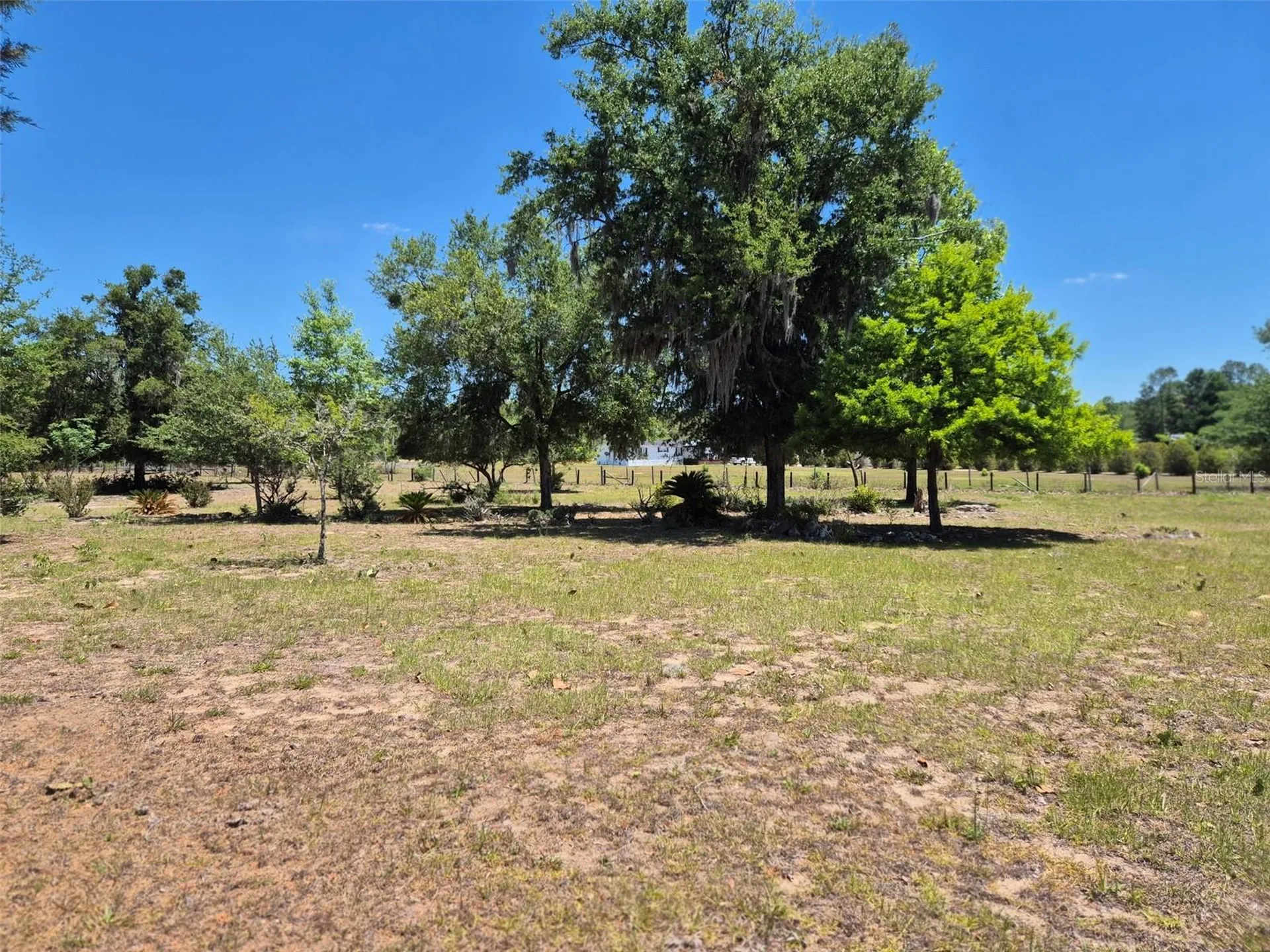 11651 NE 73rd Lane Bronson FL 32621