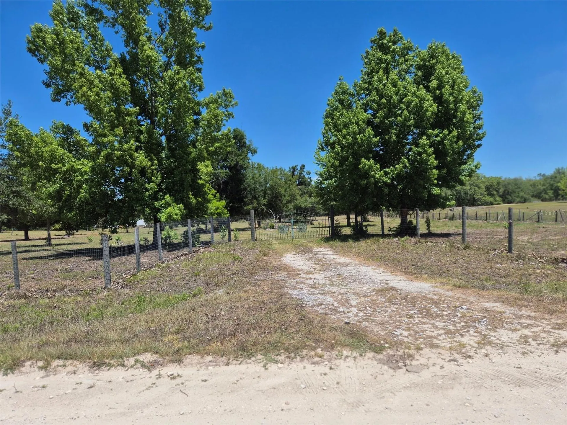 11651 NE 73rd Lane Bronson FL 32621