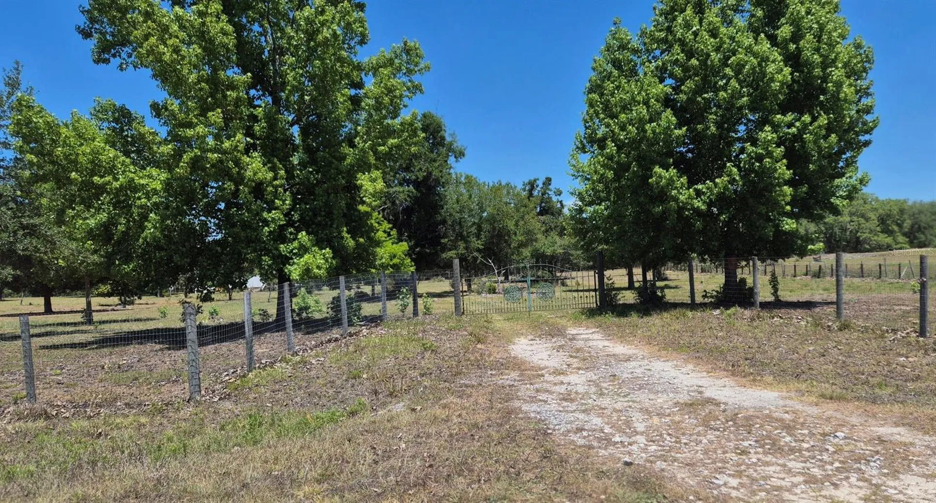11651 NE 73rd Lane Bronson FL 32621