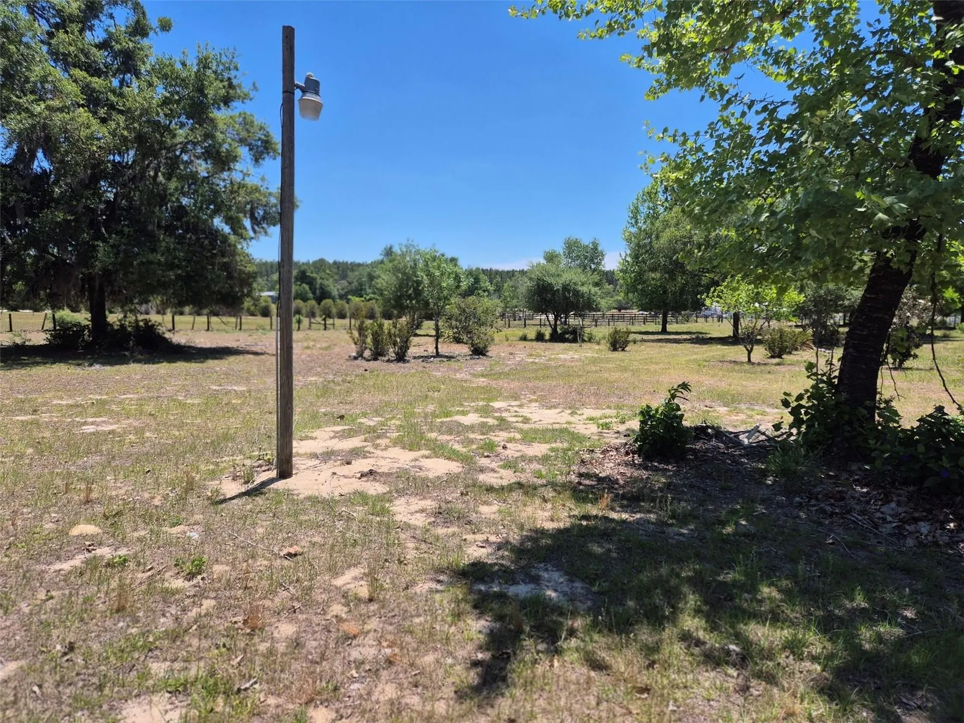 11651 NE 73rd Lane Bronson FL 32621