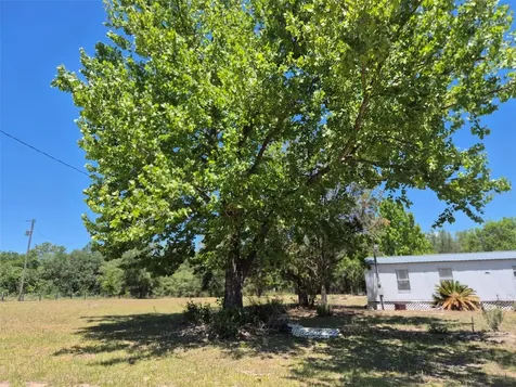 11651 NE 73rd Lane Bronson FL 32621