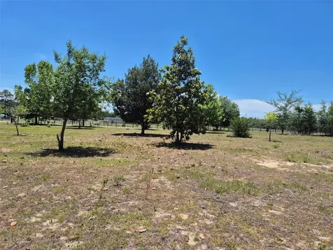 11651 NE 73rd Lane Bronson FL 32621