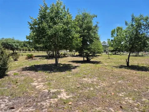 11651 NE 73rd Lane Bronson FL 32621