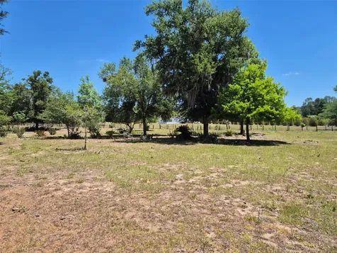 11651 NE 73rd Lane Bronson FL 32621