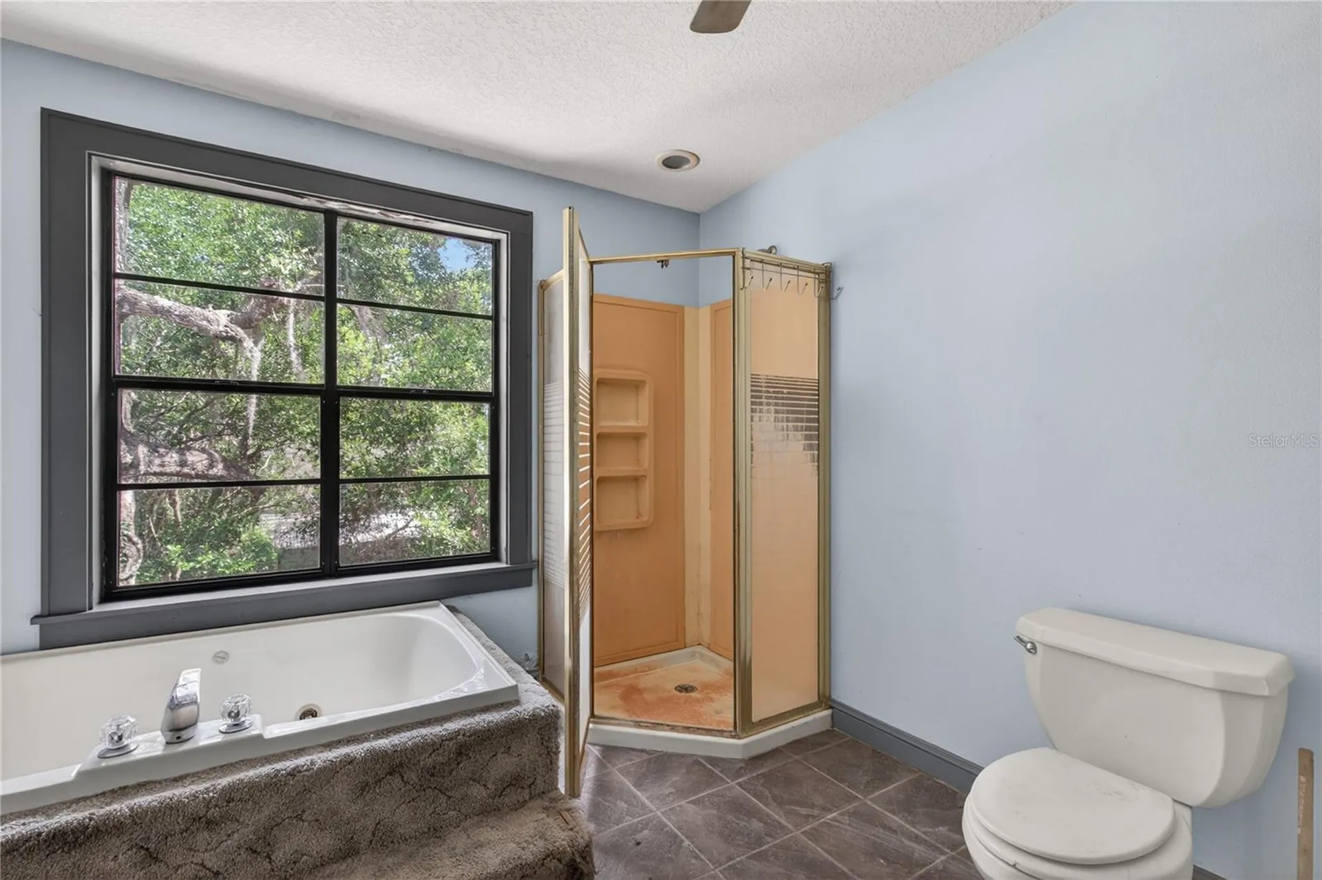 19 E Morningview Drive Eustis FL 32726