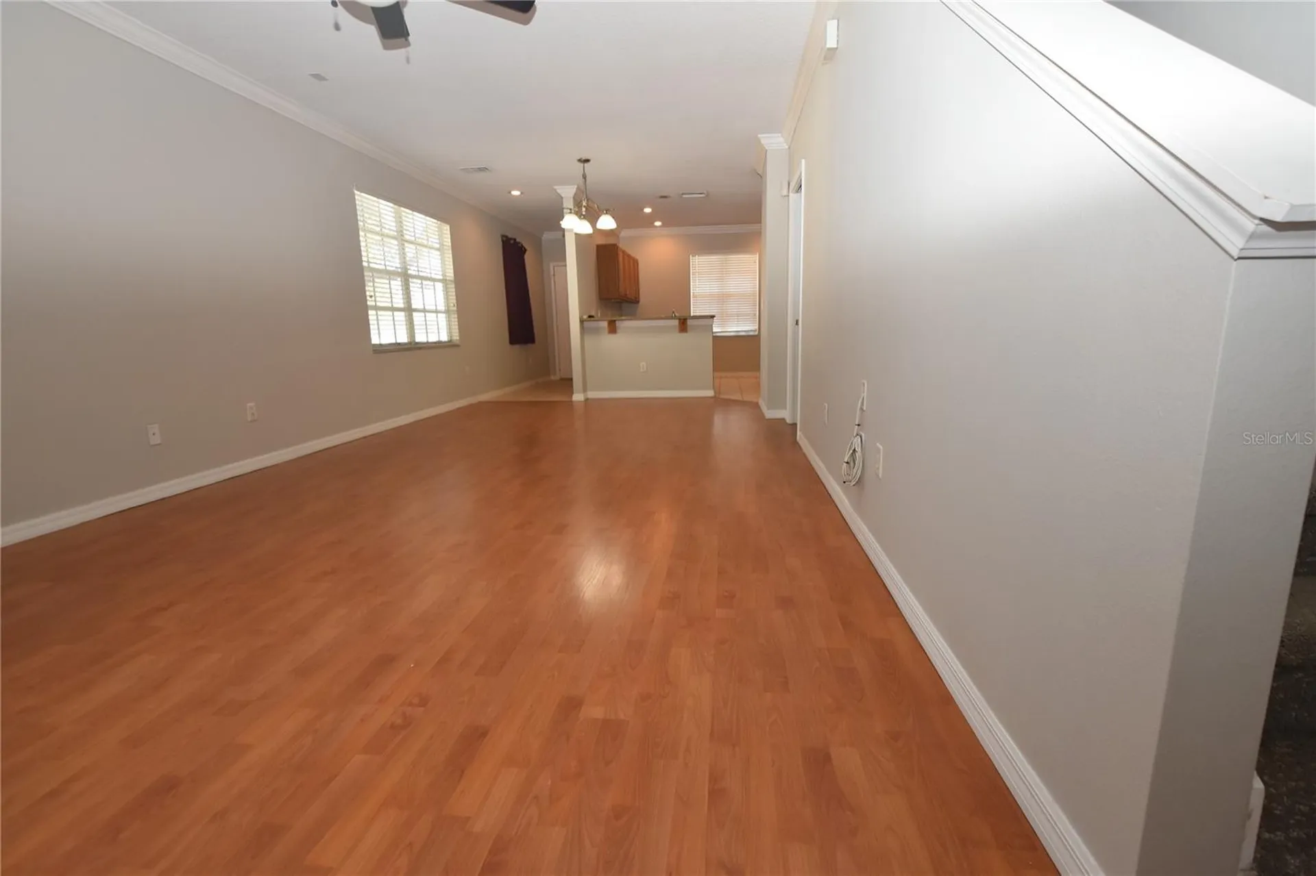 4901 Elizabeth Anne Circle Tampa FL 33616