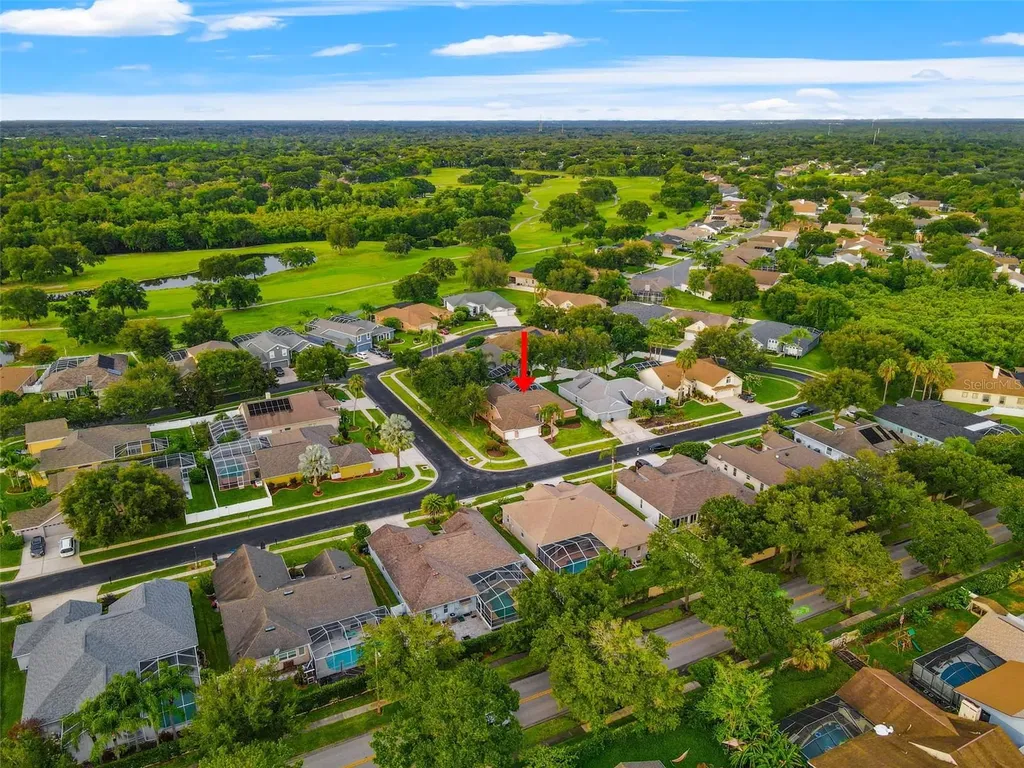 1525 Crooked Stick Drive Valrico FL 33596