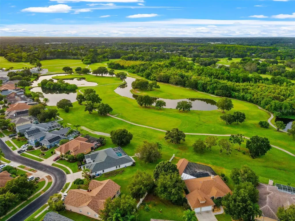 1525 Crooked Stick Drive Valrico FL 33596