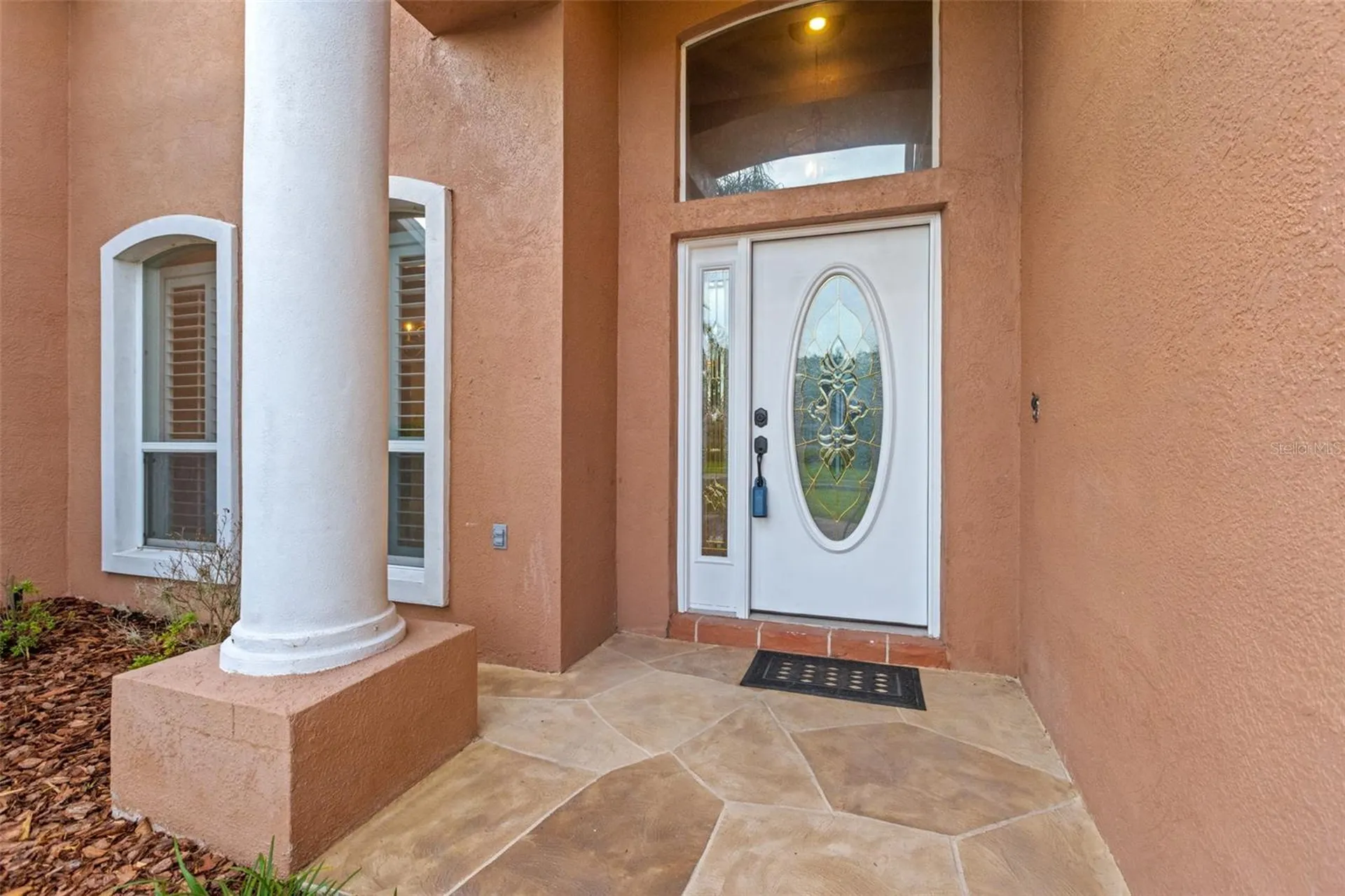 1525 Crooked Stick Drive Valrico FL 33596