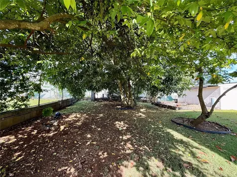 D Bloque G Dorado PR 00646
