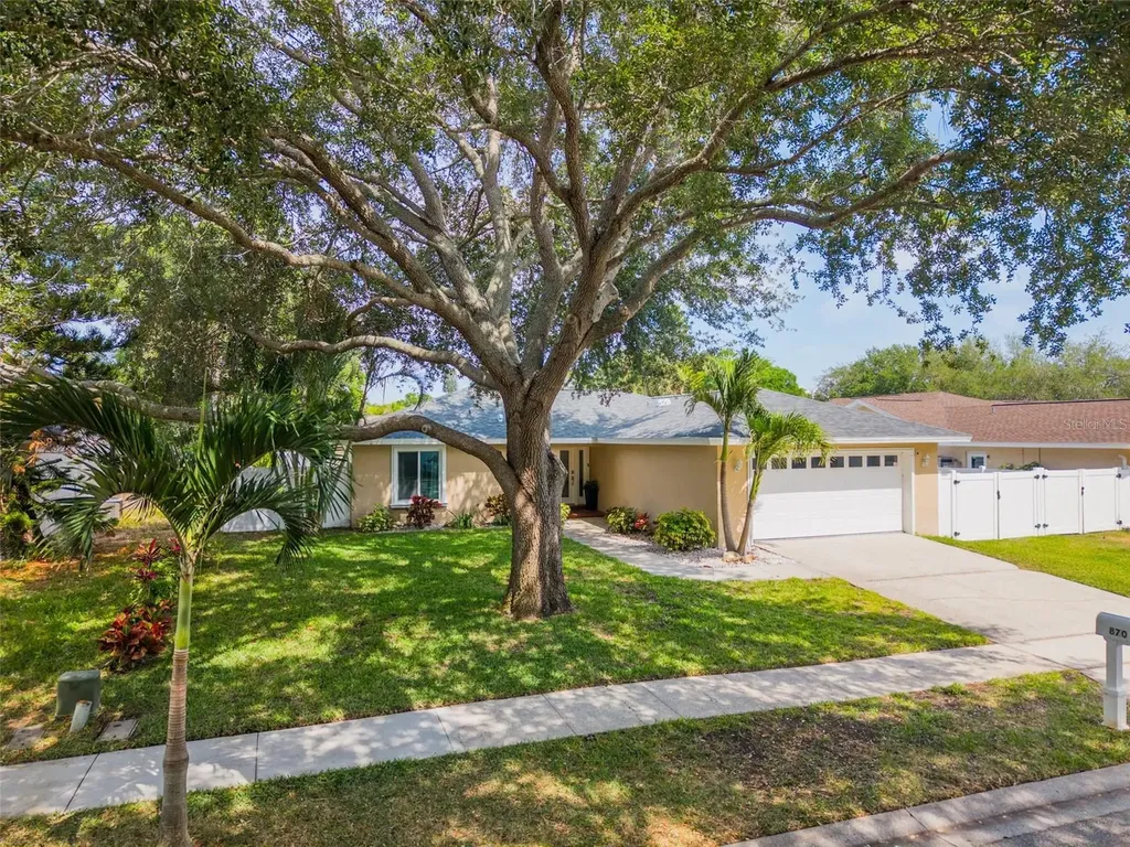 870 16th Lane Palm Harbor FL 34683