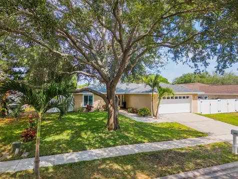 870 16th Lane Palm Harbor FL 34683