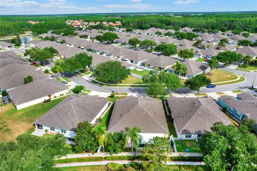 19428 Haskell Place Land O Lakes FL 34638