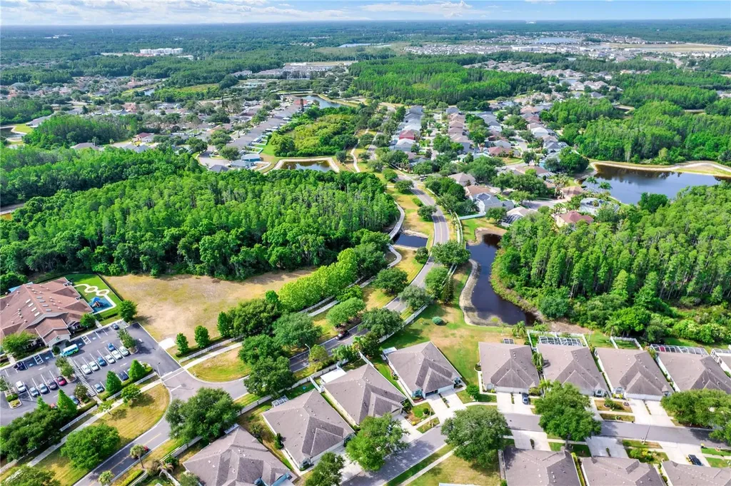 19428 Haskell Place Land O Lakes FL 34638