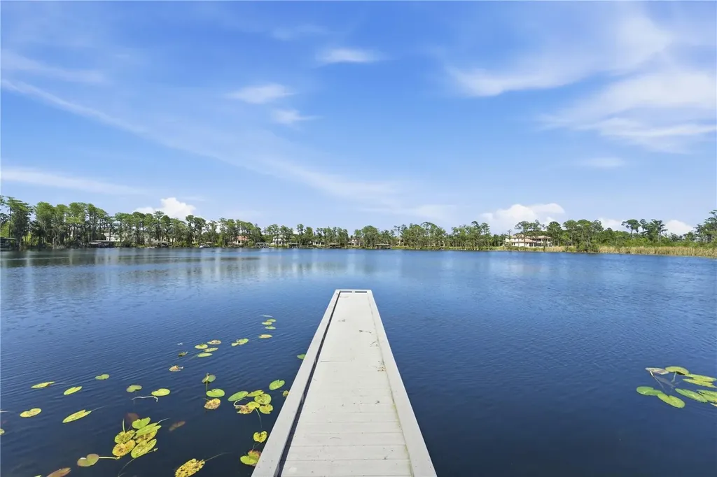 9222 Tibet Pointe Circle Windermere FL 34786
