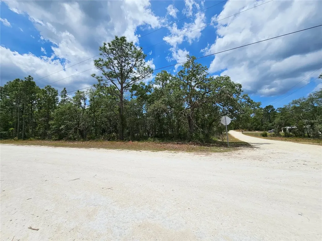0 Song Sparrow Avenue Weeki Wachee FL 34614