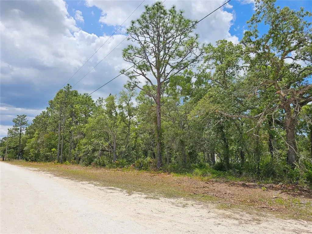 0 Song Sparrow Avenue Weeki Wachee FL 34614