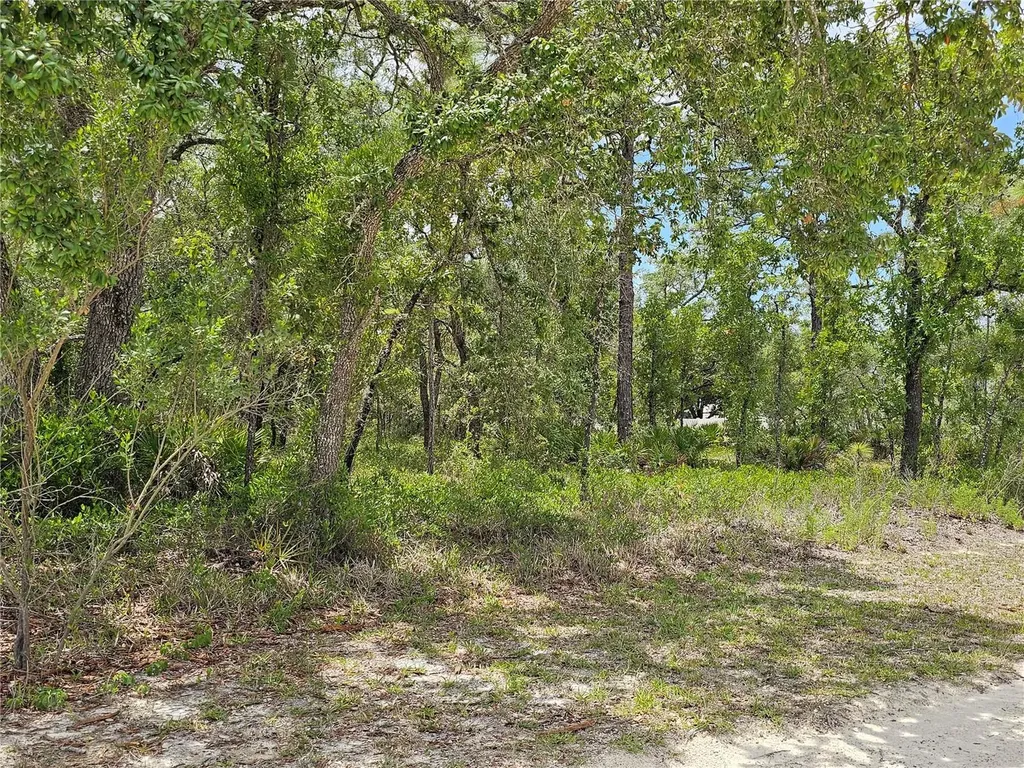 0 Song Sparrow Avenue Weeki Wachee FL 34614