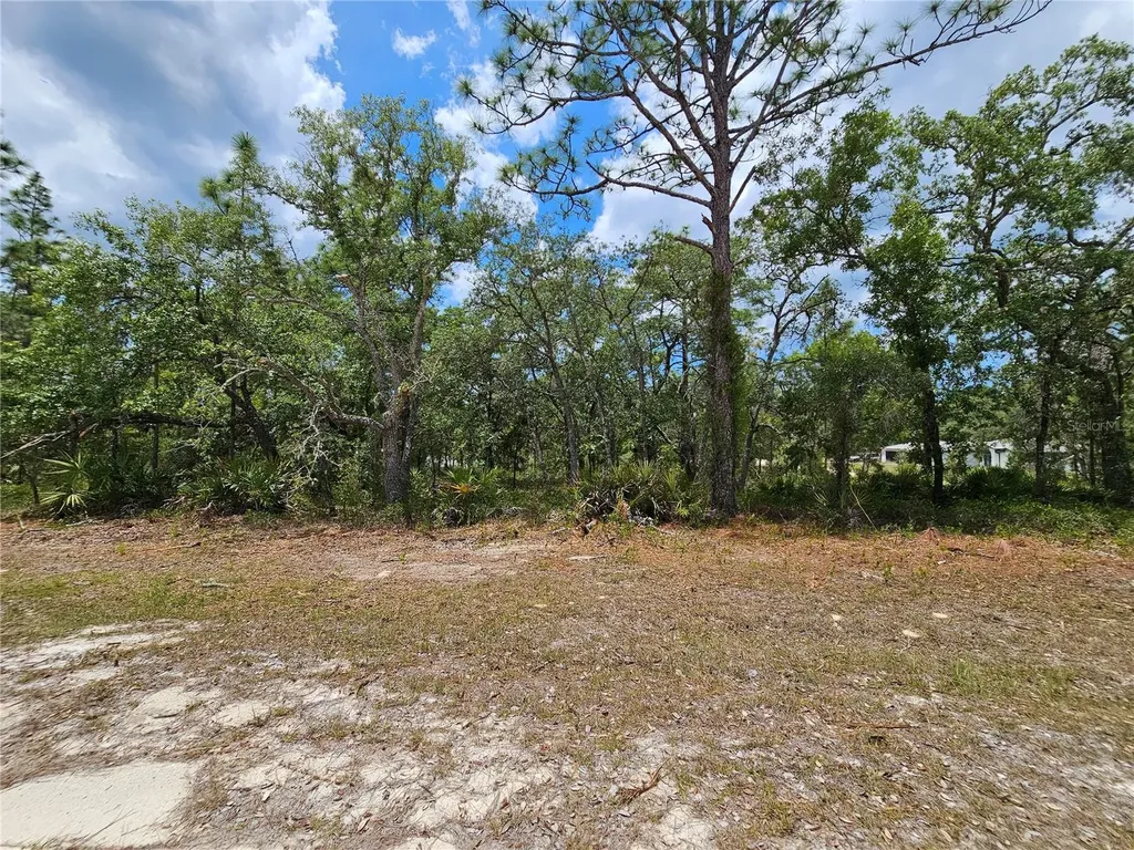 0 Song Sparrow Avenue Weeki Wachee FL 34614
