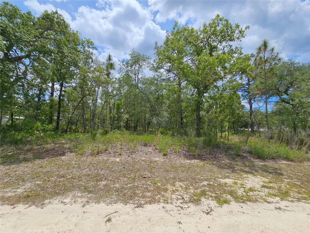 0 Song Sparrow Avenue Weeki Wachee FL 34614