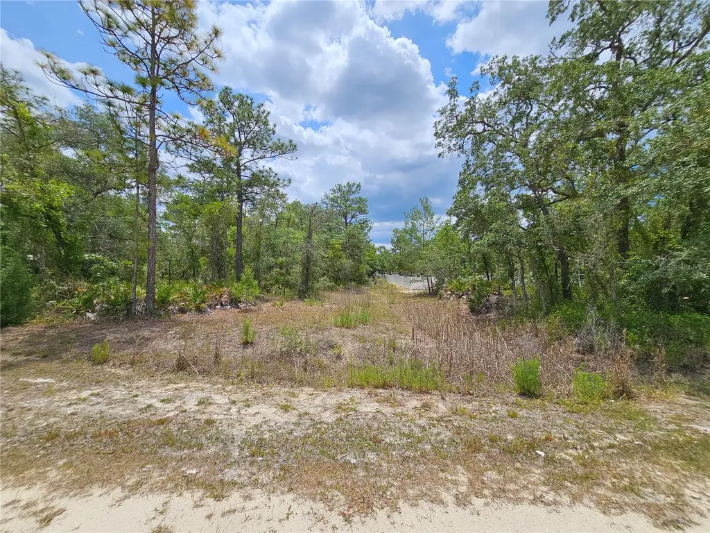 0 Song Sparrow Avenue Weeki Wachee FL 34614