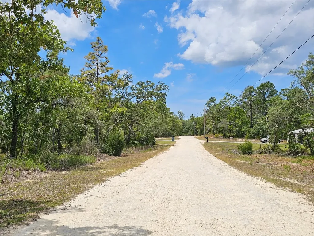 0 Song Sparrow Avenue Weeki Wachee FL 34614