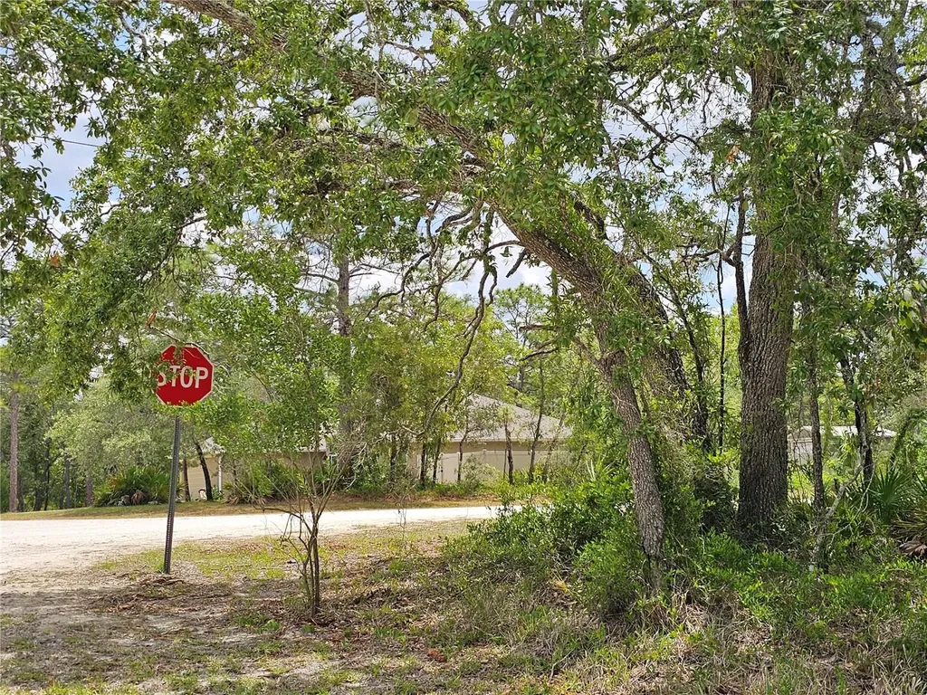 0 Song Sparrow Avenue Weeki Wachee FL 34614