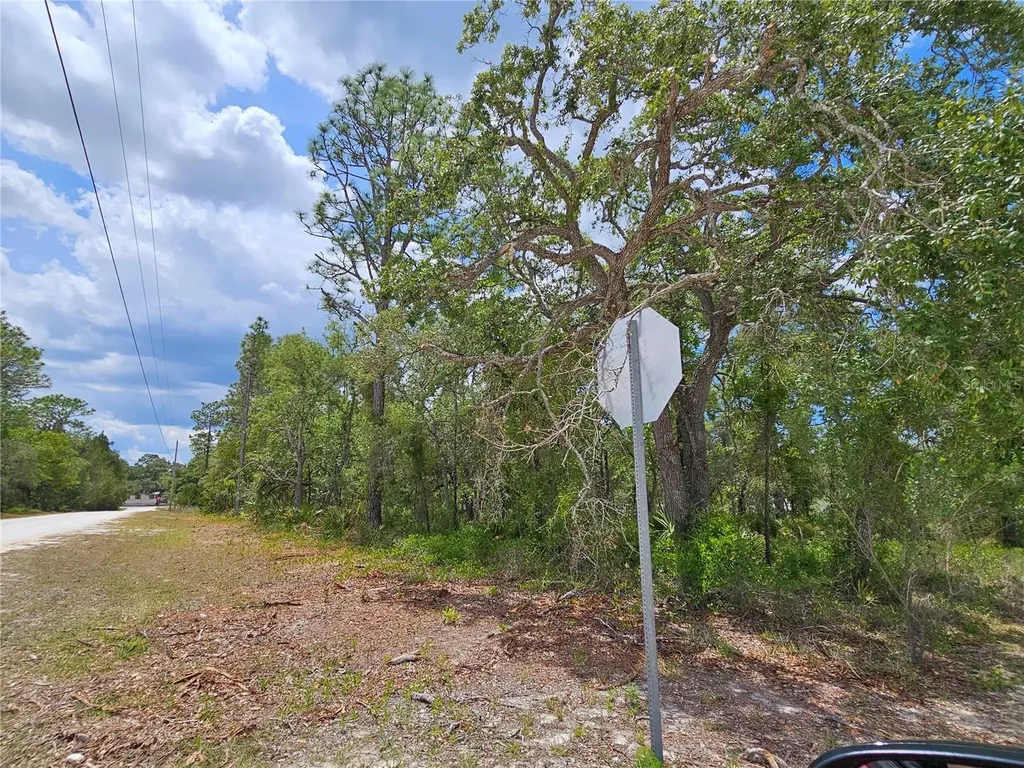 0 Song Sparrow Avenue Weeki Wachee FL 34614