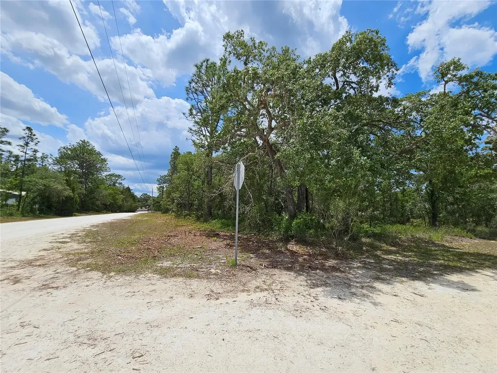 0 Song Sparrow Avenue Weeki Wachee FL 34614