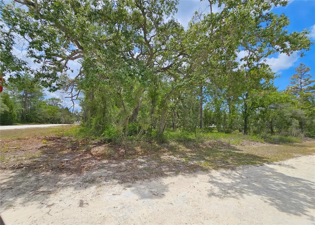 0 Song Sparrow Avenue Weeki Wachee FL 34614