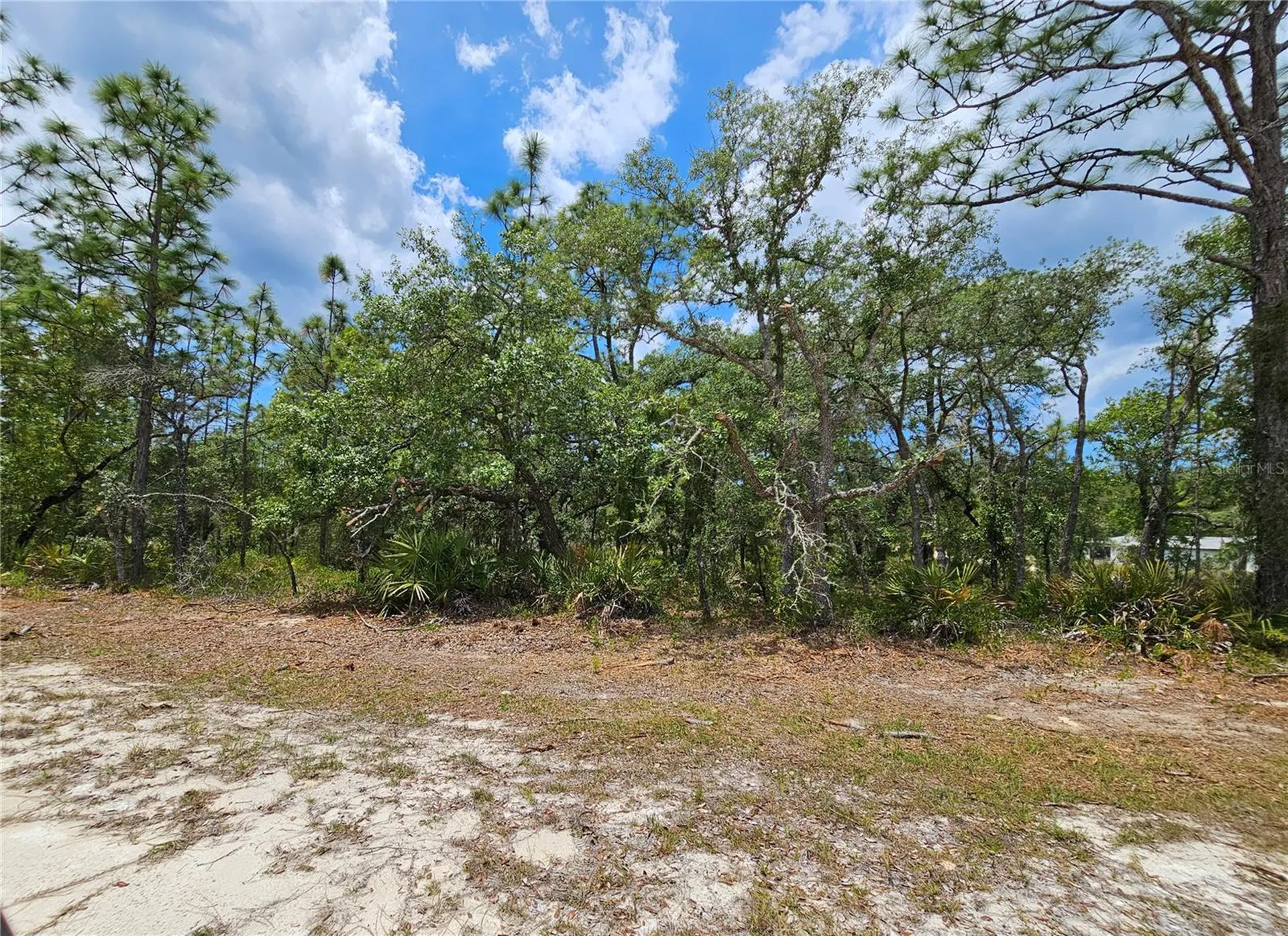 0 Song Sparrow Avenue Weeki Wachee FL 34614
