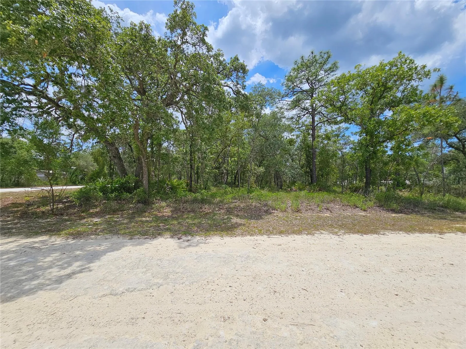 0 Song Sparrow Avenue Weeki Wachee FL 34614