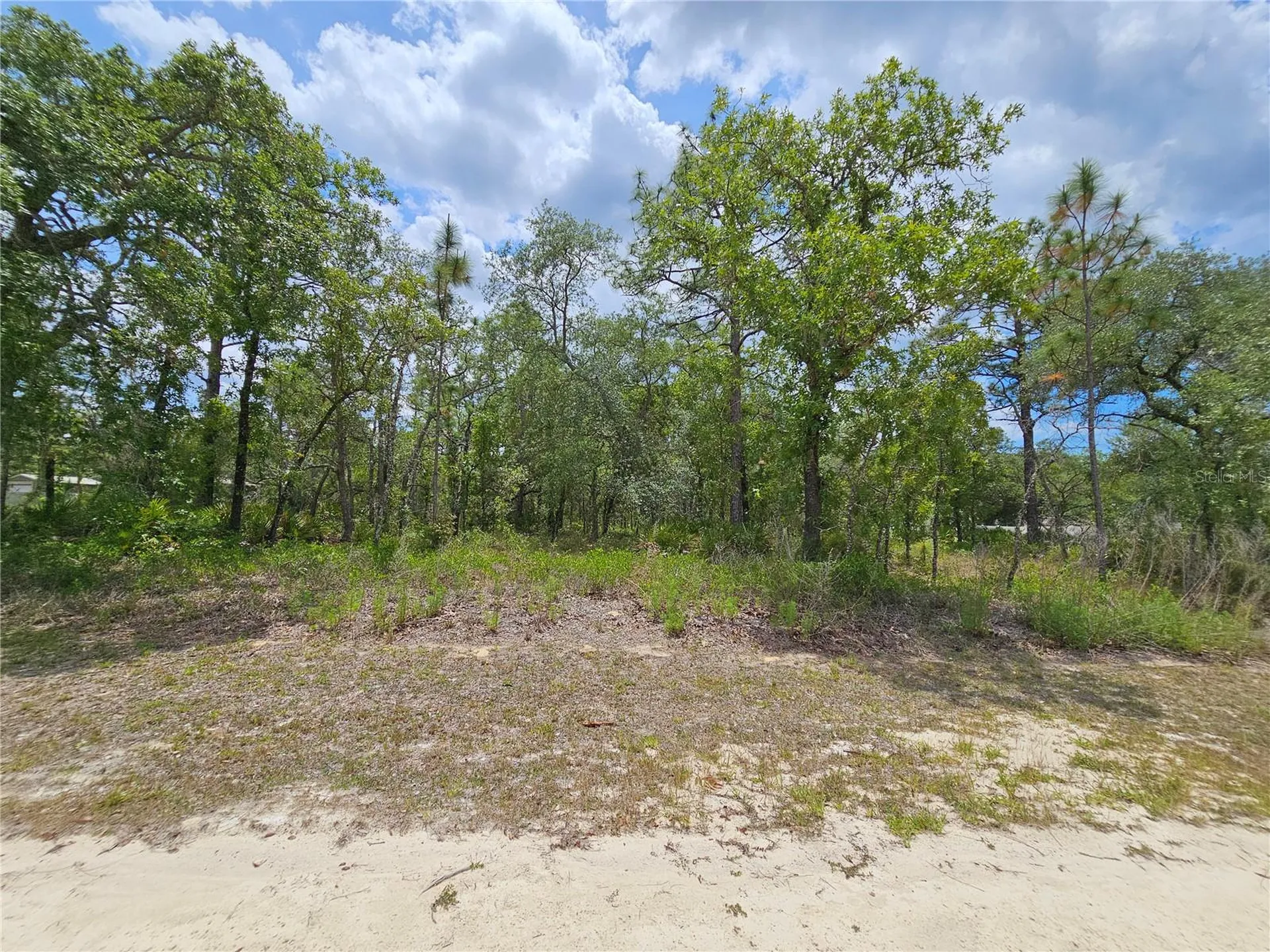 0 Song Sparrow Avenue Weeki Wachee FL 34614