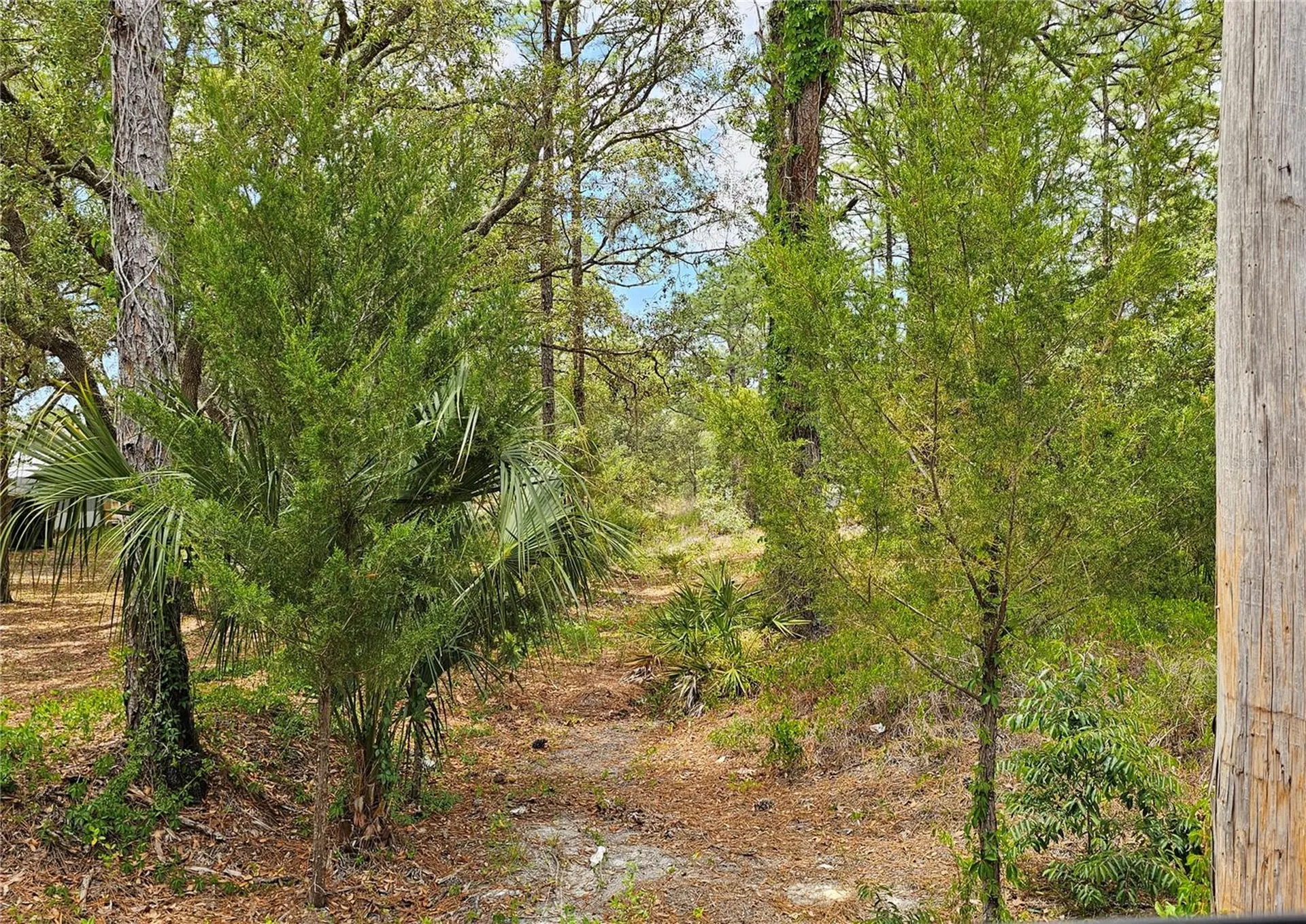 0 Song Sparrow Avenue Weeki Wachee FL 34614