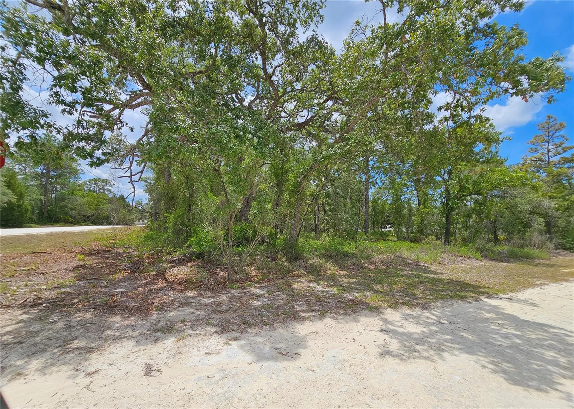 0 Song Sparrow Avenue Weeki Wachee FL 34614