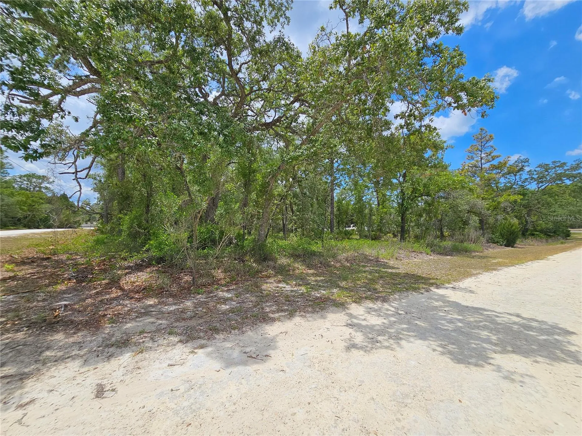 0 Song Sparrow Avenue Weeki Wachee FL 34614