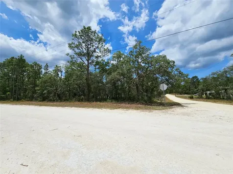 0 Song Sparrow Avenue Weeki Wachee FL 34614