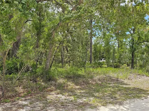 0 Song Sparrow Avenue Weeki Wachee FL 34614