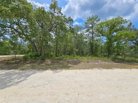 0 Song Sparrow Avenue Weeki Wachee FL 34614