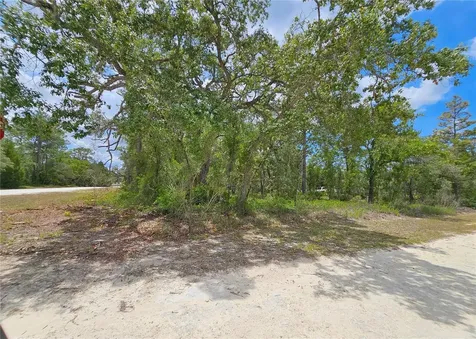 0 Song Sparrow Avenue Weeki Wachee FL 34614