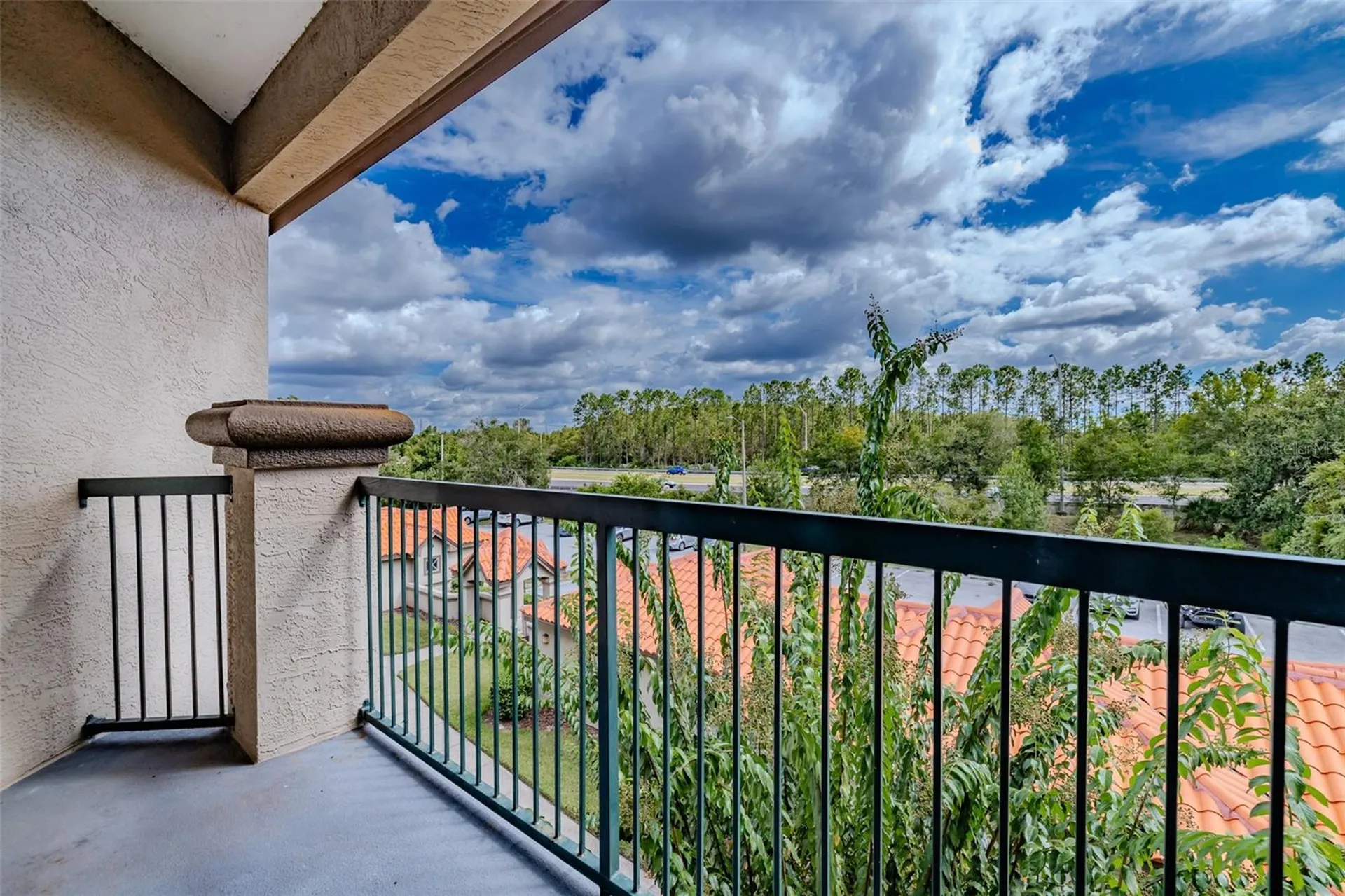 4201 Woodstorks Walk Way Lutz FL 33558