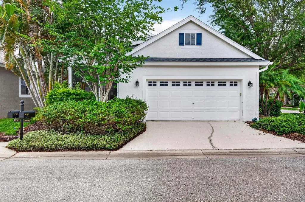 10801 Spring Mountain Place Tampa FL 33626