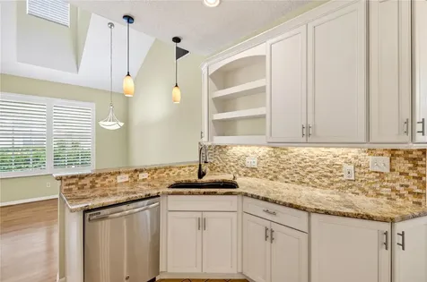 10801 Spring Mountain Place Tampa FL 33626