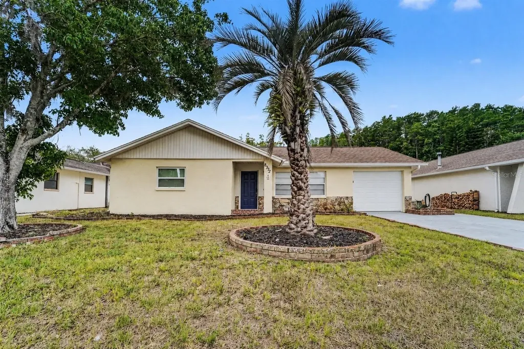 8332 Fishhawk Avenue New Port Richey FL 34653